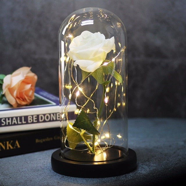 Beauty And Beast Rose In Flask Led Glass Dome