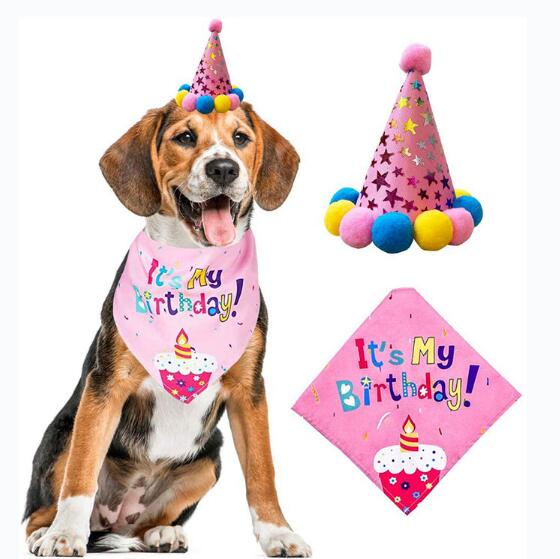 Pet Birthday Set