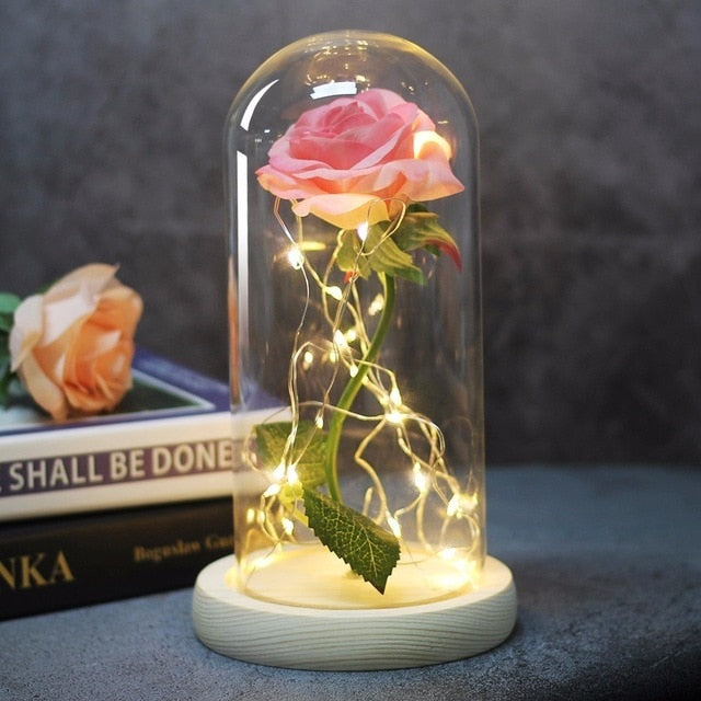 Beauty And Beast Rose In Flask Led Glass Dome