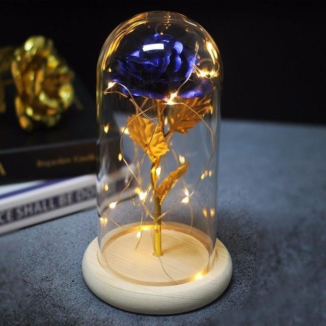 Beauty And Beast Rose In Flask Led Glass Dome