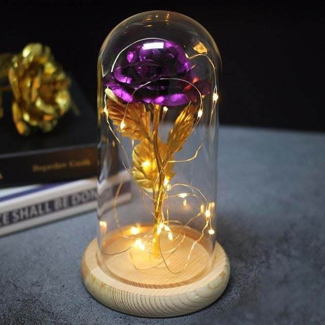 Beauty And Beast Rose In Flask Led Glass Dome