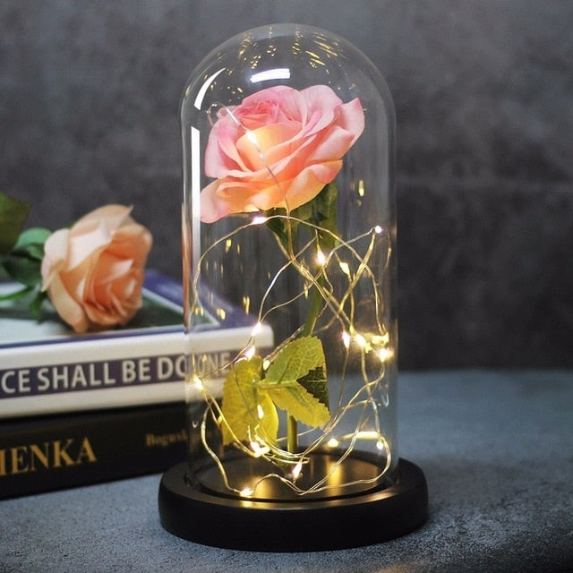 Beauty And Beast Rose In Flask Led Glass Dome