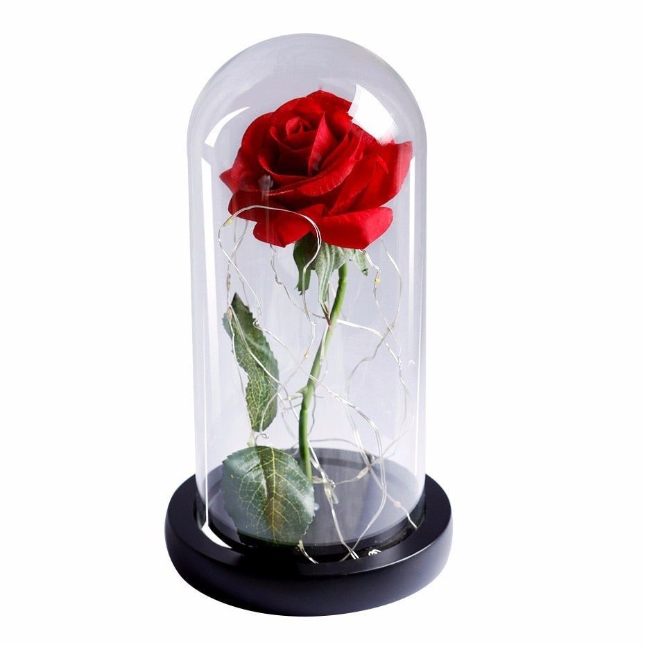 Beauty And Beast Rose In Flask Led Glass Dome