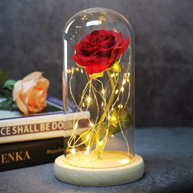 Beauty And Beast Rose In Flask Led Glass Dome