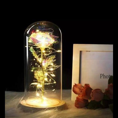 Beauty And Beast Rose In Flask Led Glass Dome