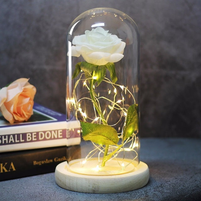 Beauty And Beast Rose In Flask Led Glass Dome