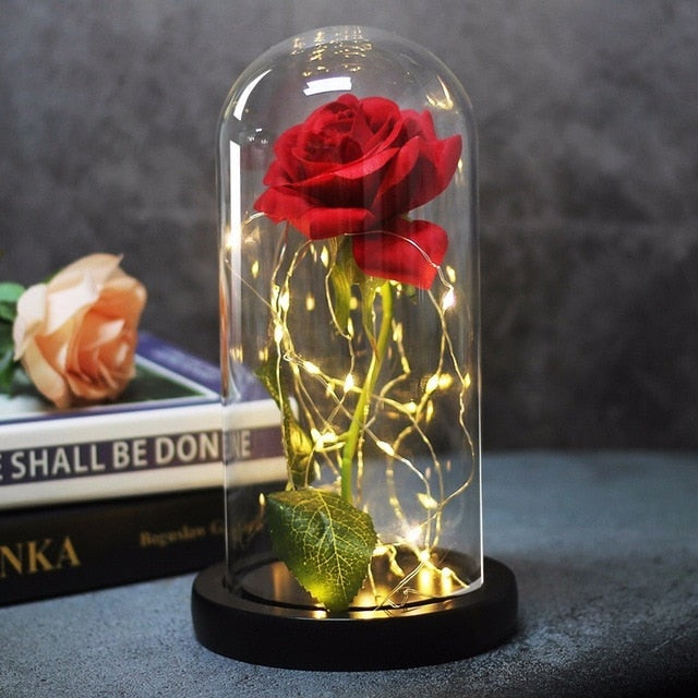 Beauty And Beast Rose In Flask Led Glass Dome