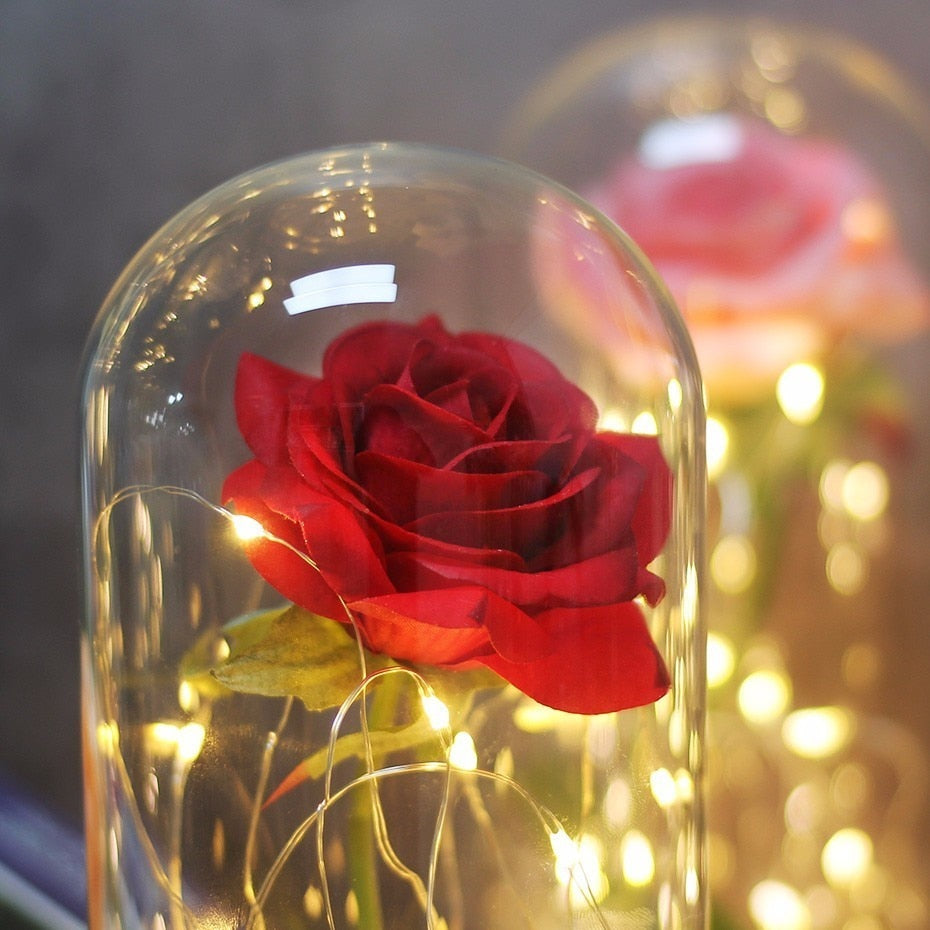 Beauty And Beast Rose In Flask Led Glass Dome