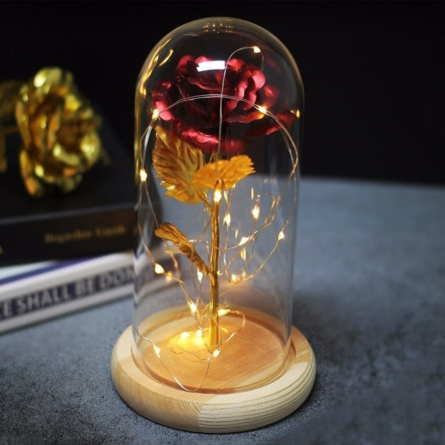 Beauty And Beast Rose In Flask Led Glass Dome